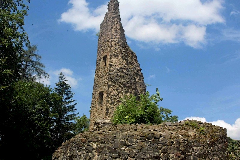 Burgruine Dagstuhl, Foto: Sabine Caspar