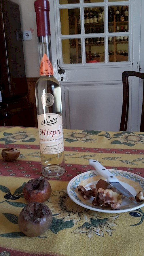 Für den Mispelbrand und den Mispellikör hat die Brennerei Monter 2017 jeweils eine Goldmedaille erhalten.