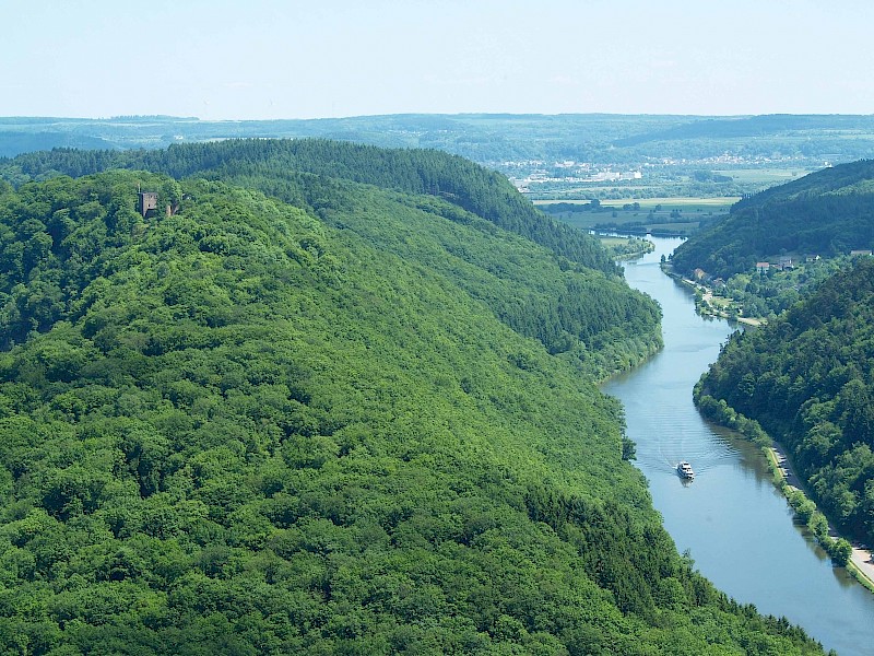Blick auf Burg Montclair Foto Susanne Renk