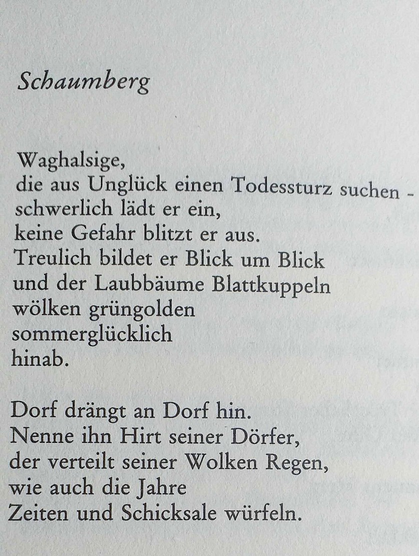 Schaumberg, SALZGESCHMACK Gedichte Verlag „Die Mitte“