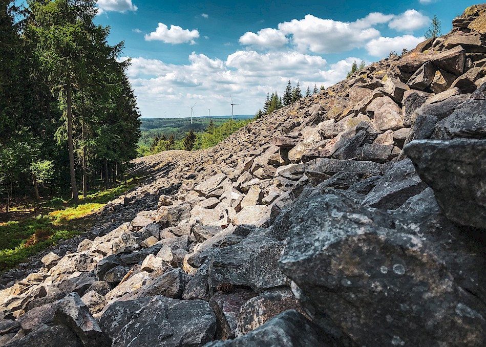 Der Ringwall Otzenhausen ist Michael Koch´s liebster Platz. Seit über 20 Jahren gehört dieser mit zu seinem Arbeitsgebiet. Foto: Kevin Ehm